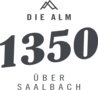 1350 – Die Alm über Saalbach